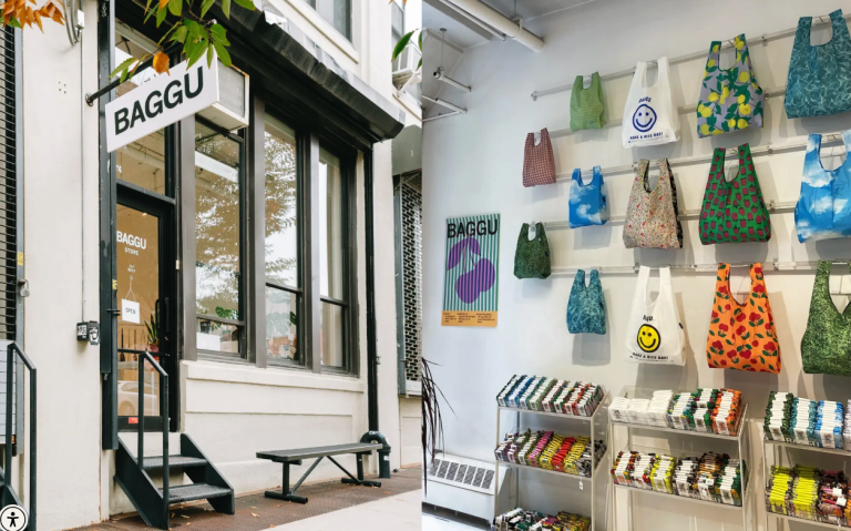 Baggu Reviews: The bag you absolutely need